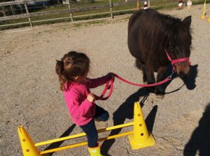 petite enfant guidant un poney