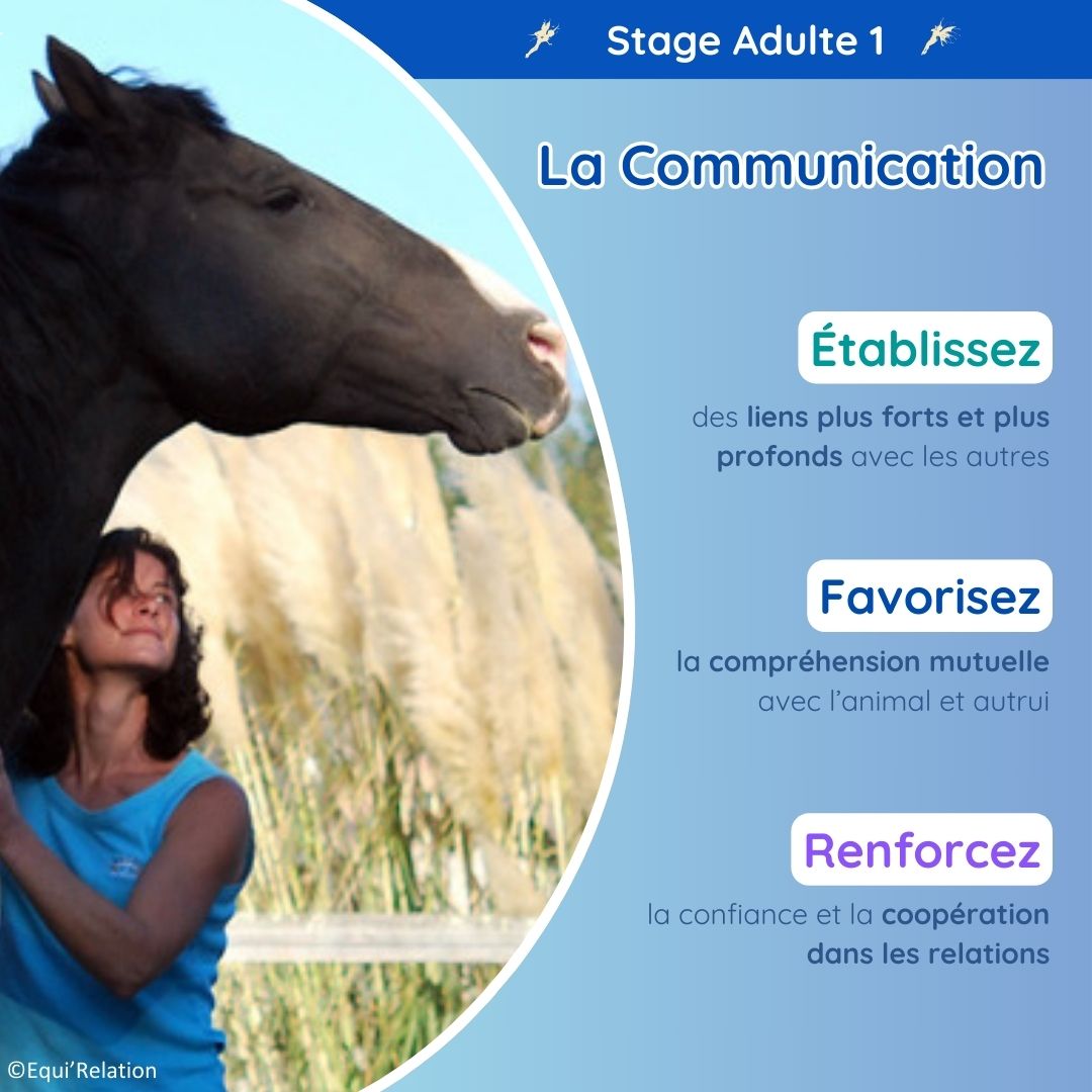 Agenda Stage adulte sur la Communication