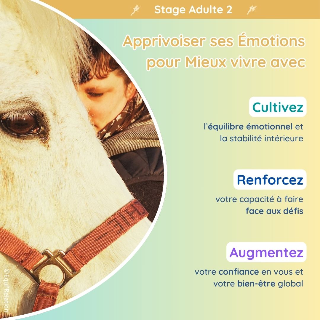 Agenda Stage adulte sur les émotions