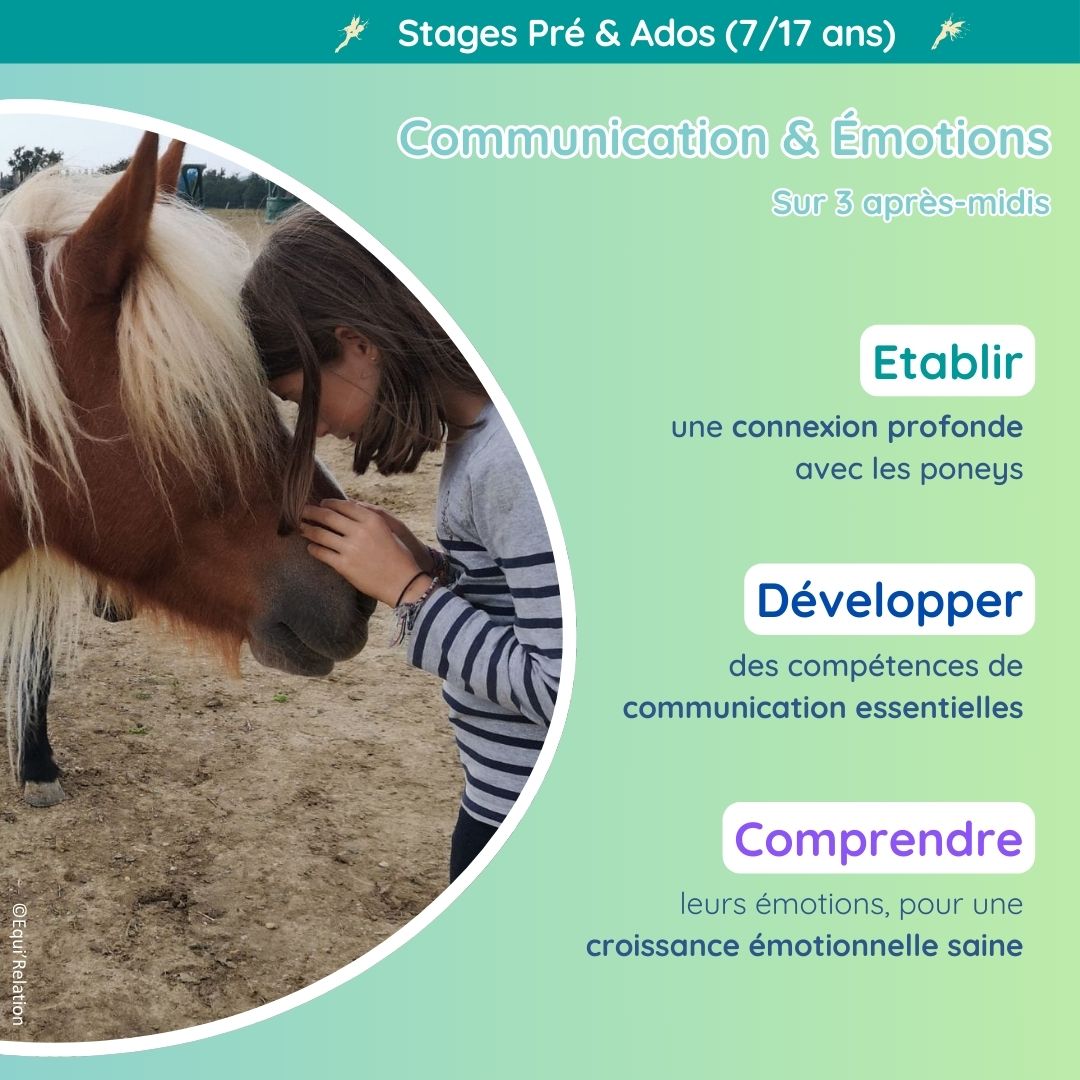 Stage pré et adolescents poneys vacances scolaires