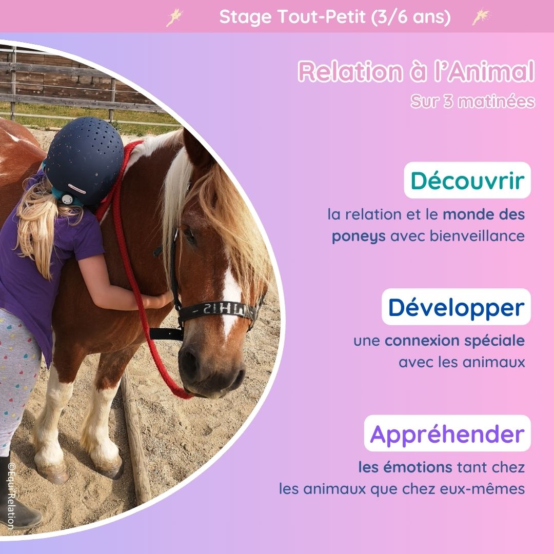 Stage tout petits poneys vacances scolaires