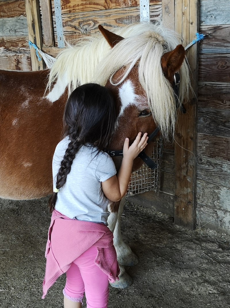 Petite fille câlinant un Poney