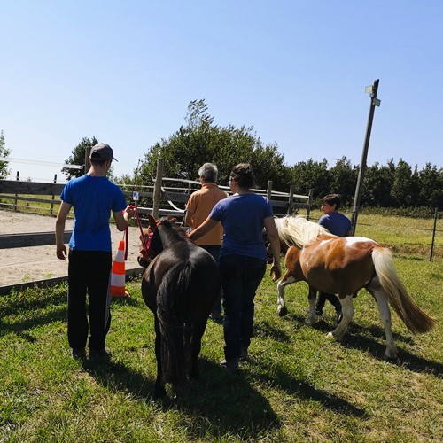 famille en stage avec les poneys