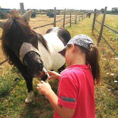 enfant donnant des compléments à un poney