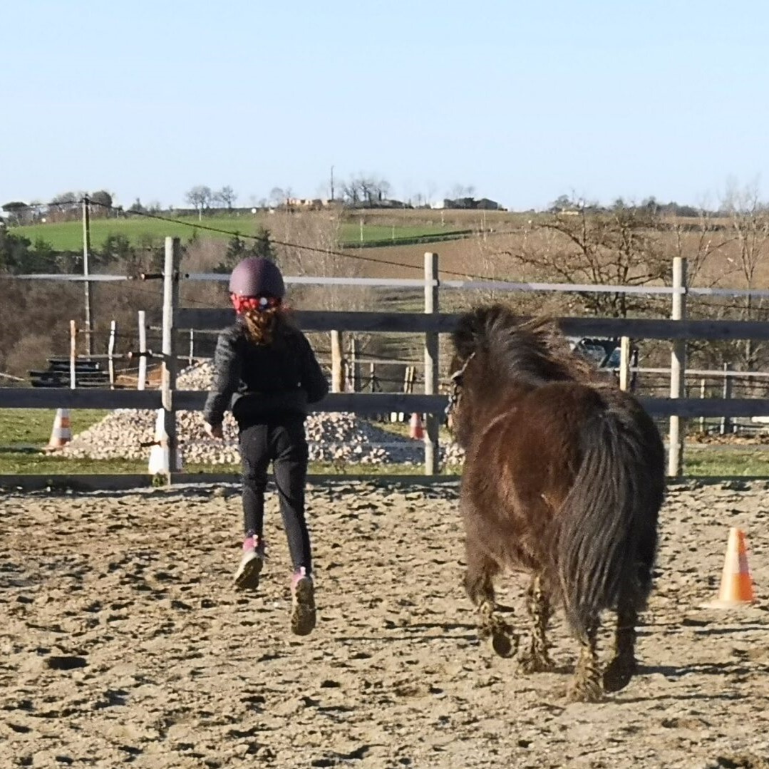 Fille et poney courant ensemble dans la carrièee