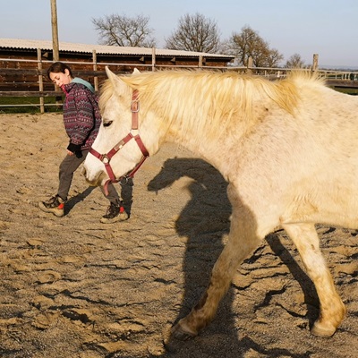 adolescente marchant avec un poney