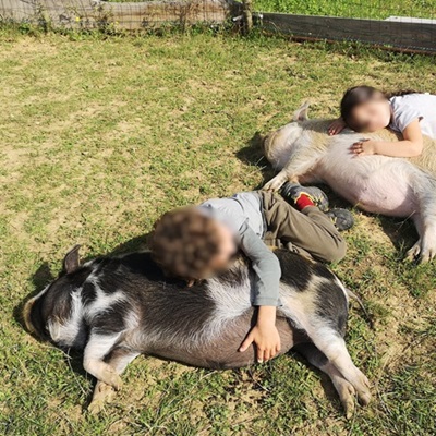 Enfants se relaxant avec les cochons