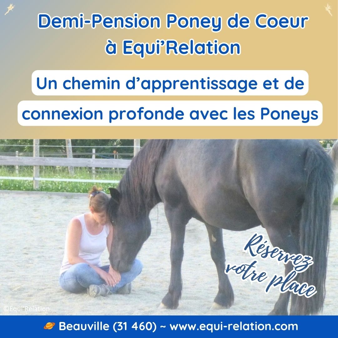 Demi Pension Poney de Coeur à Equi'Relation