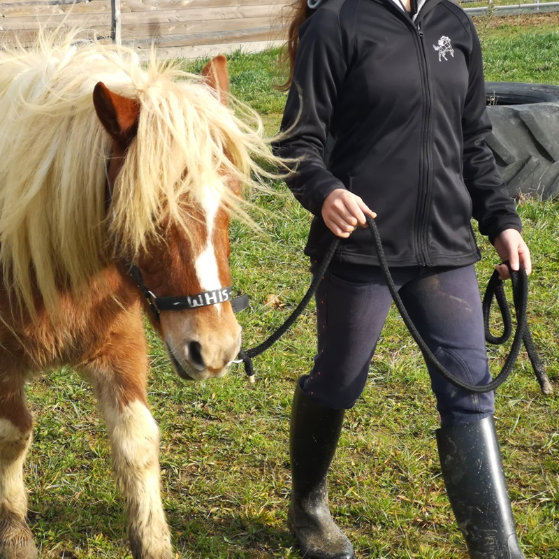 adolescente marchant avec un poney