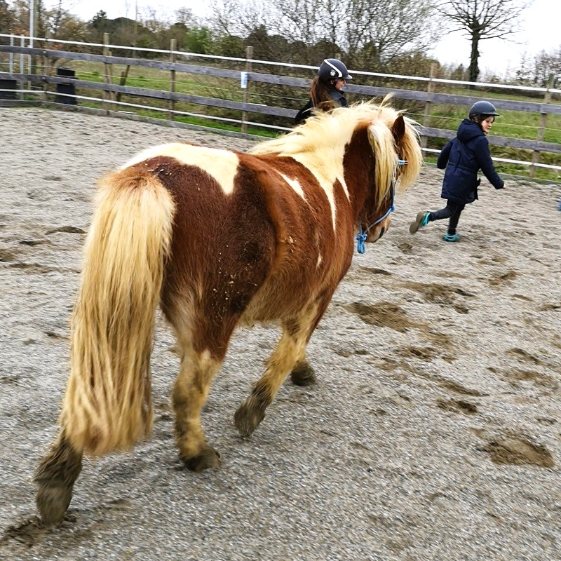 Fille et Poney courant ensemble