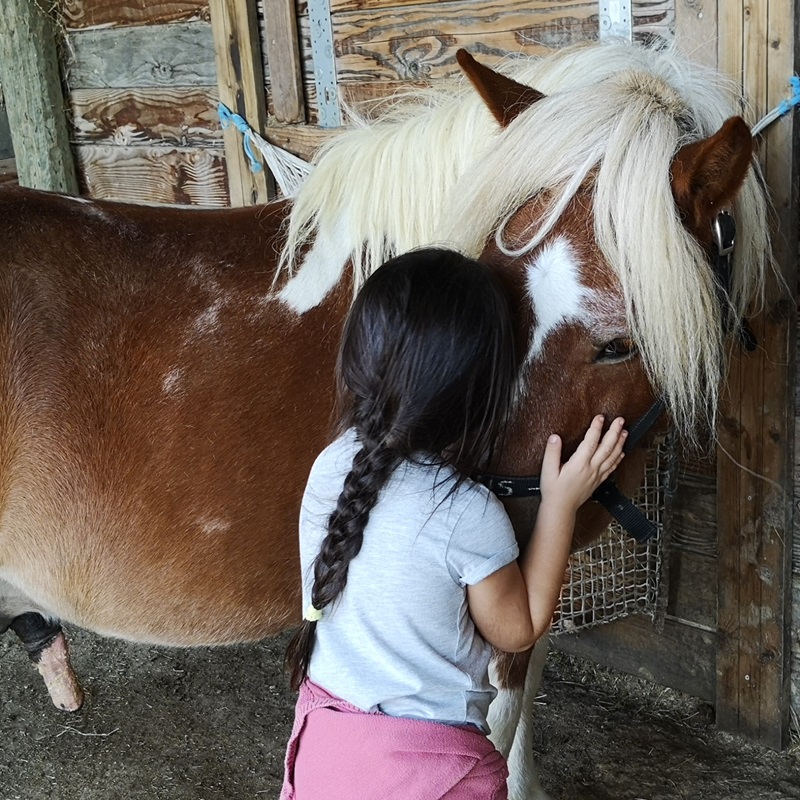 petite fille embrassant un poney