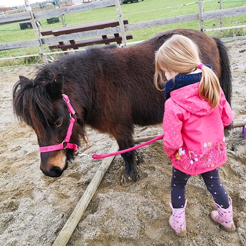 Petite fille en exercice pour avancer avec un poney