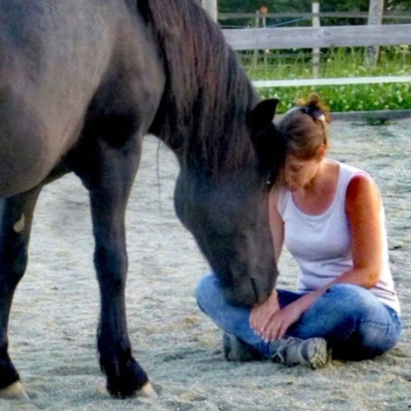 Virginie au milieu du troupeau de poneys