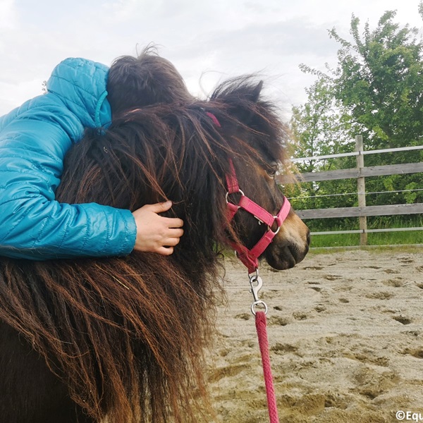 femme et poney regardant dans la même direction