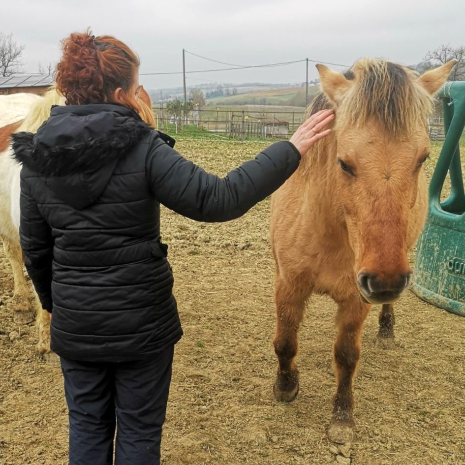 Fille et Poney courant ensemble