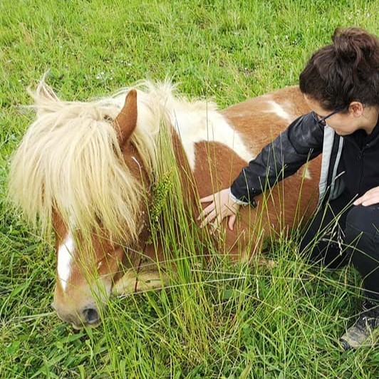 Femme caressant un poney allongé dans l'herbe