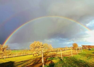 Vue des prés et du ciel avec un double arc en ciel