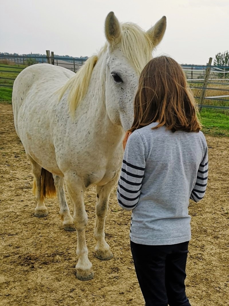 Adolescente et Poney qui se regardent