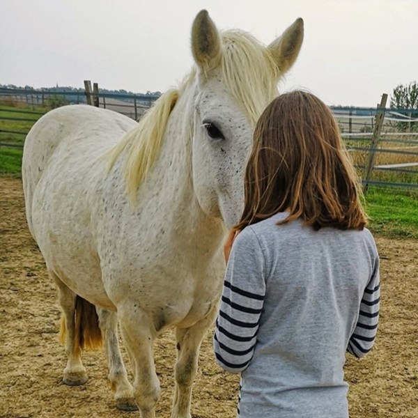 Adolescente et Poney qui se regardent