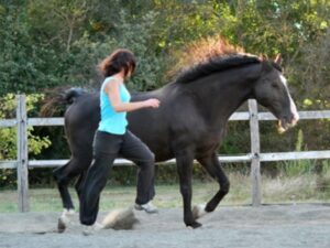 Virginie qui court avec un cheval