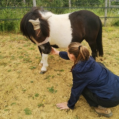 adolescente s'agenouillant à coté d'un poney