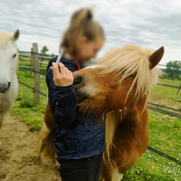 adolescente donnant pipette de soin au poney