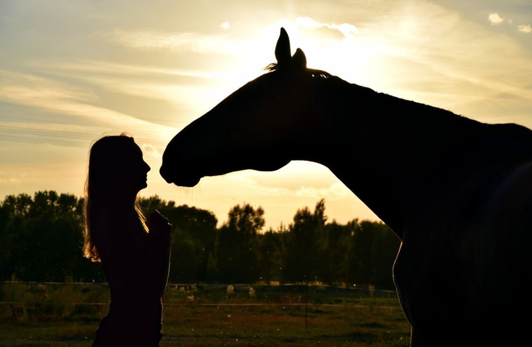 femme et cheval avec coucher de soleil