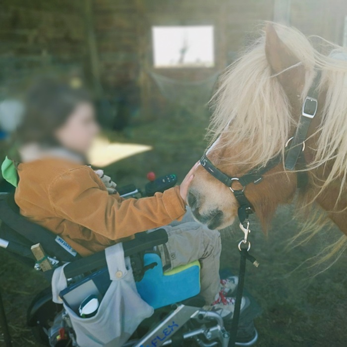 enfant en fauteuil roulant caressant un poney