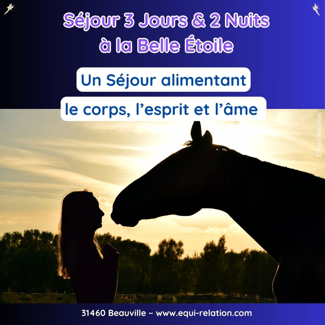 Séjour Nuits à la belle étoile avec Equi'Relation