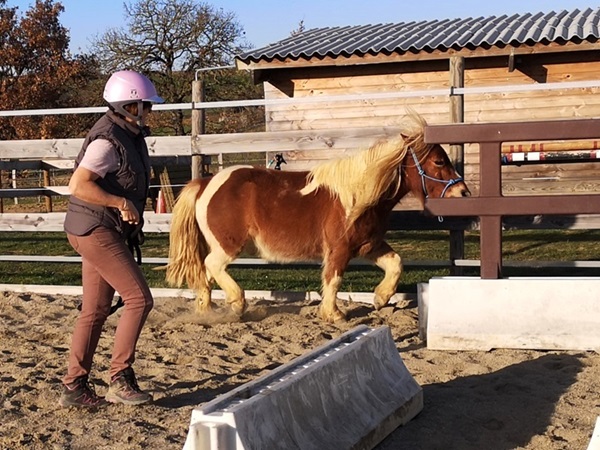 Femme qui avance avec un poney entre des obstacles