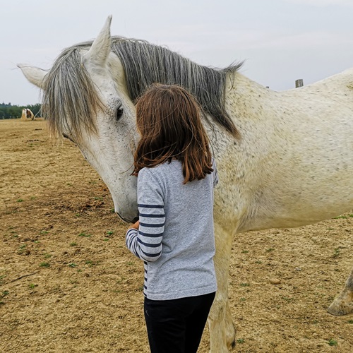 Adolescente et Poney se regardant dans le pré