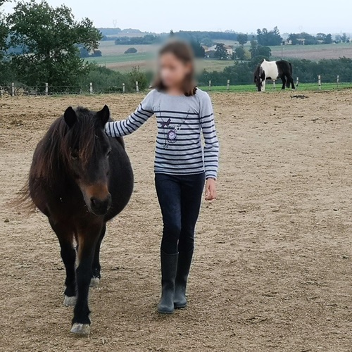 adolescente marchant aux côtés d'un poney