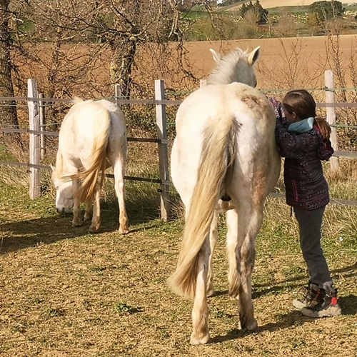 fille et poney regardant dans une même direction