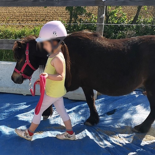 petite fille marchant au côté d'un poney