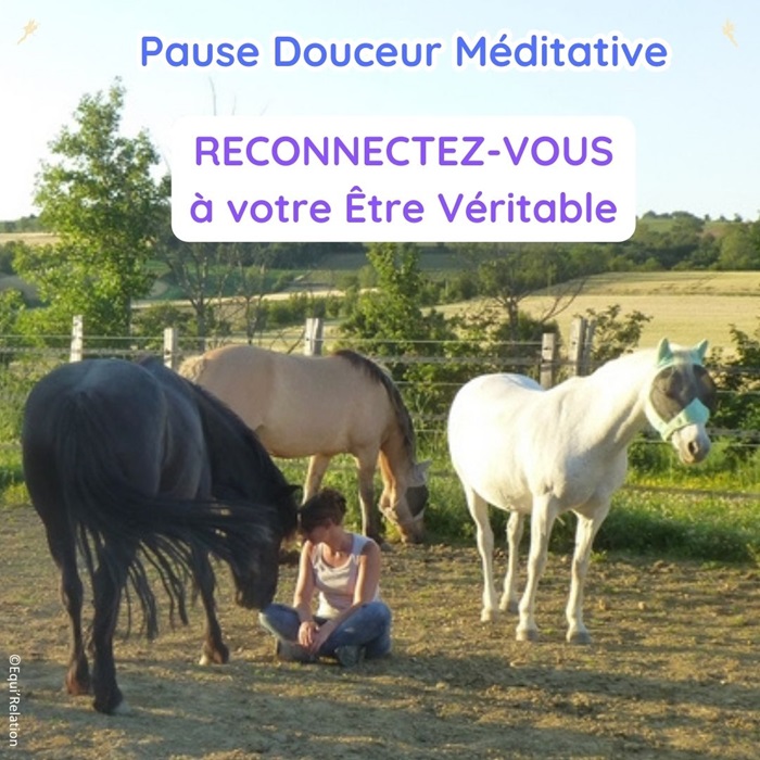 pause douceur méditative avec les poneys