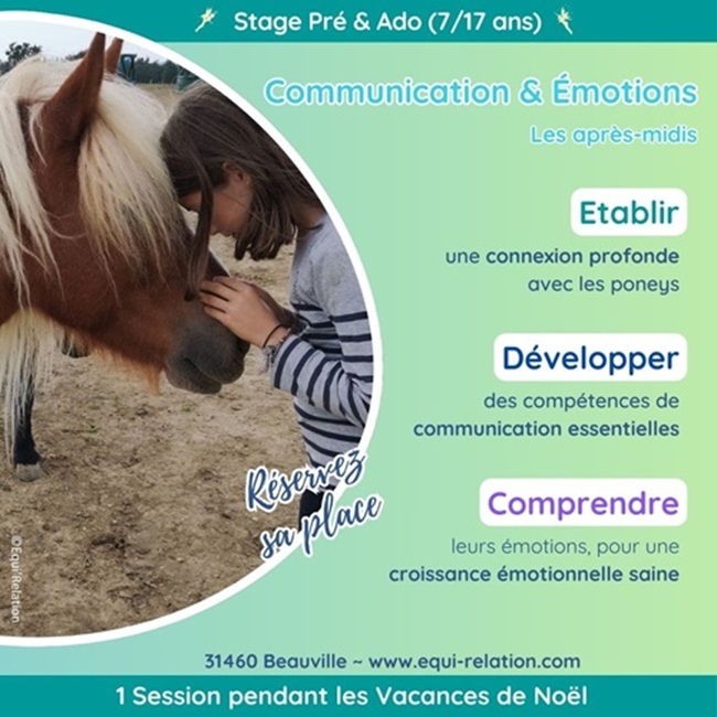 Stage Ados Poneys Communication et Emotions