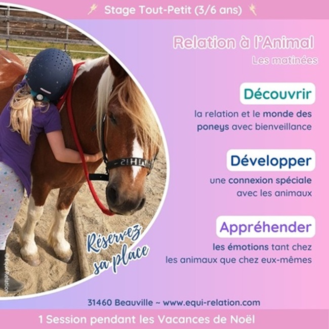 Stage Tout Petits Poneys Noel