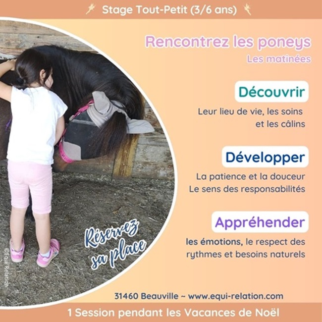 Stage Rencontre Tout Petits Poneys Noel